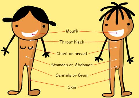 Common areas of cancer