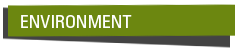 Environmental Lessons