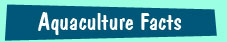 Important aquaculture facts for children