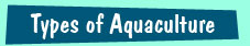 Kinds of aquaculture for kids