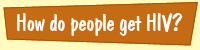 HIV Aids causes and transmission
