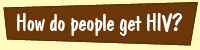 HIV Aids causes and transmission