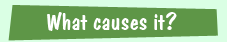 facttors that contribute to ocean acidification