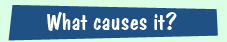 facttors that contribute to ocean acidification