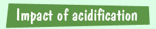 the consequences of the oceans becoming acidic