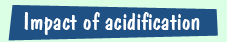 the consequences of the oceans becoming acidic